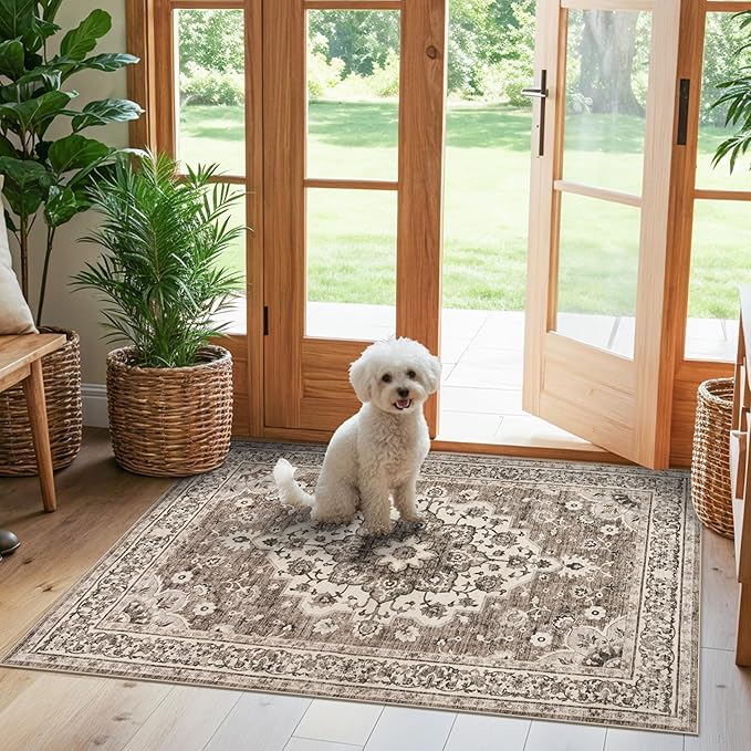 TOPRUUG Washable Entryway 3x4 Rug - Area Rugs for Kitchen Bathroom Non-Slip Ultra-Thin Indoor Door Mat Indoor Entrance - Stain Resistant Small Throw Carpet (Beige, 3X4)