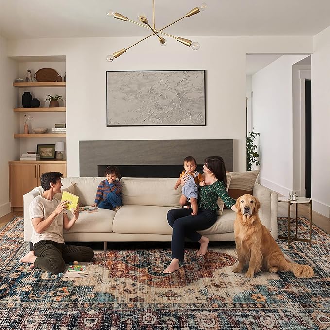 Ruaruarug Area Rug for Living Room Bedroom, Washable Non-Slip Foldable Waterproof, Soft for Office Dining Room Kids, Fluffy Easy to Clean, Decor Aesthetic Brown, 8'×10'