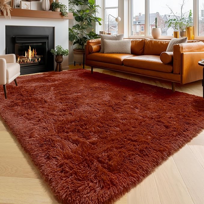 Amdrebio Terracotta Rust Area Rugs for Bedroom Living Room, 6x9 Shaggy Furry Fuzzy Fluffy Rug for Kids Room Decor Aesthetic, Large Cute Plush Shag Rustic Carpet for Nursery Dorm Classroom Playroom