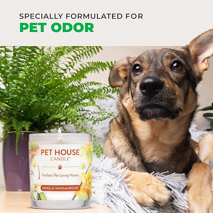 Pet House Pet Odor Candle Plant Based Scented Candle Clean Burning, Long Lasting for Home, Gingerbread Cookies 2 Pack