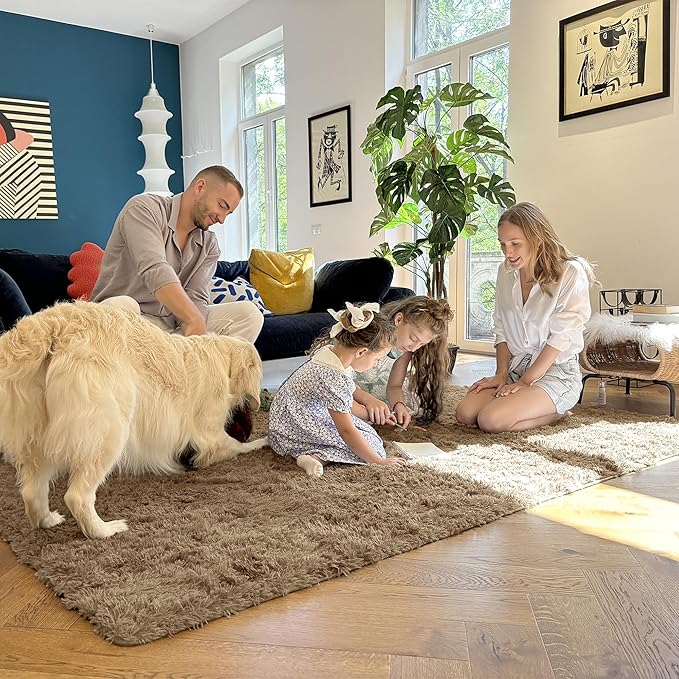 OLANLY 2x3 Machine Washable Small Bedside Rug, Soft Fluffy Shaggy Entryway Throw Rugs for Bedroom, Living Room, Indoor Floor Carpet for Kids Girls and Boys, Home Decor Aesthetic, Taupe