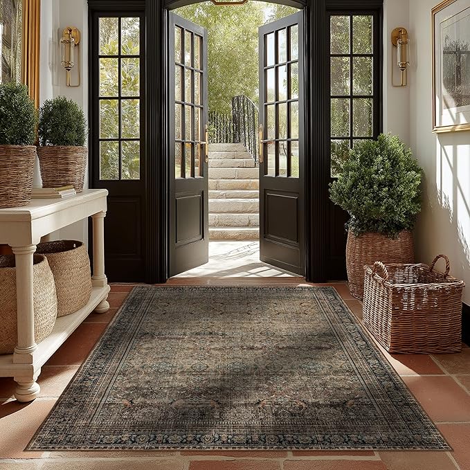 Ruaruarug Area Rug Non Slip Machine Washable Ultra Soft Living Room/Bedroom/Kitchen/Outdoor/Classroom Vintage Brown, 5'×7'