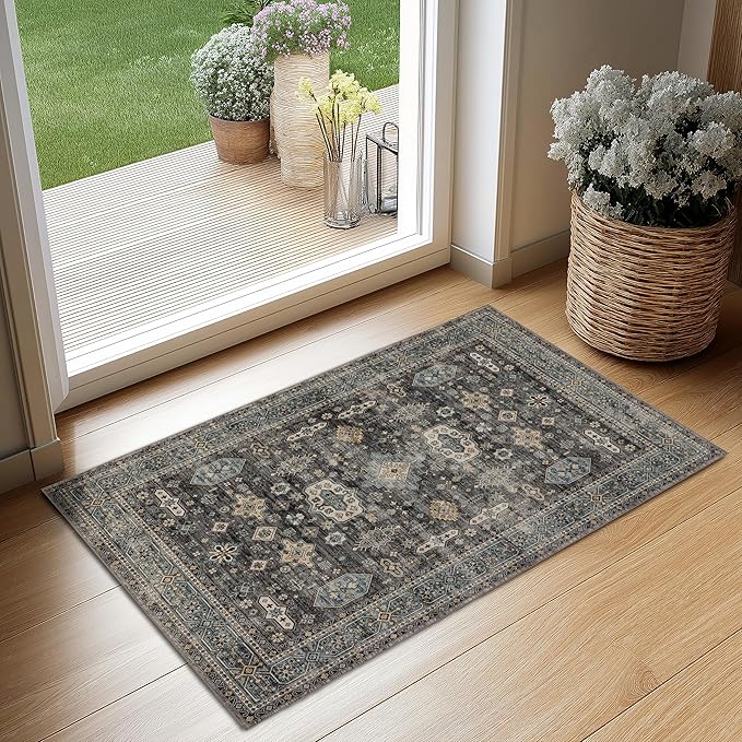 Ruaruarug Area Rug Non Slip Machine Washable Ultra Soft Living Room/Bedroom/Kitchen/Outdoor/Classroom Silver, 2'×3'